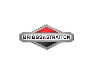 Briggs Stratton en Diagma